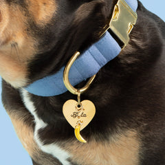 Banana Collar Charm