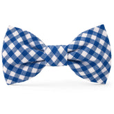 Lake Blue Gingham Dog Bow Tie
