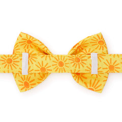 Here Comes the Sun Dog Bow Tie