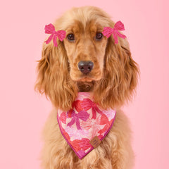 Take a Bow Dog Bandana