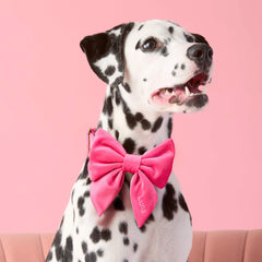 Hot Pink Velvet Lady Dog Bow