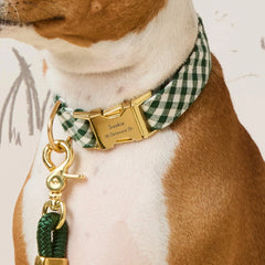 Evergreen Gingham Collar Walk Set