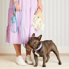 Powder Blue Waxed Canvas Waste Bag Holder