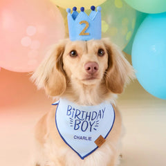 Light Blue Dog Birthday Crown + Numbers Set