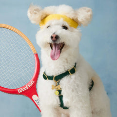 Tennis Ball Collar Charm