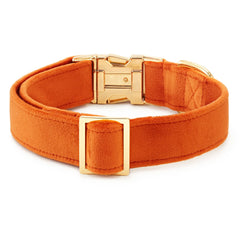 Pumpkin Velvet Dog Collar