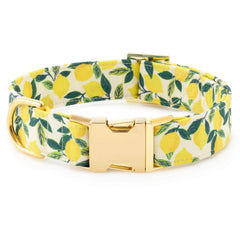 Lemon Zest Collar Walk Set
