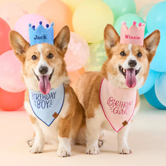 Light Blue Dog Birthday Crown