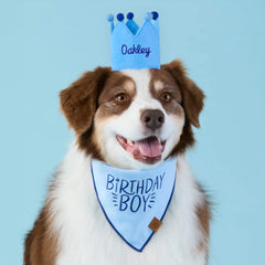 Light Blue Dog Birthday Crown