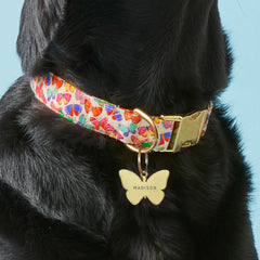 Butterfly Pet ID Tag