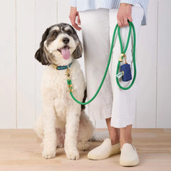 Grass Green Marine Rope Dog Leash