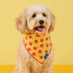 OLIPOP x TFD Crisp Apple Dog Bandana