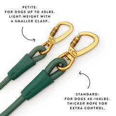 Active Hands-Free Dog Leash, Fern