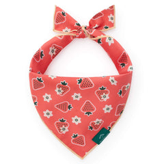 OLIPOP x TFD Strawberry Vanilla Dog Bandana