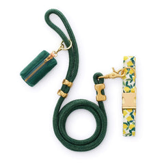 Lemon Zest Collar Walk Set