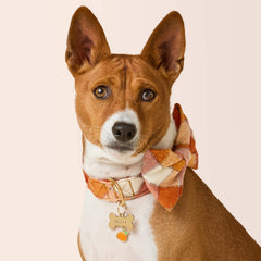 Pumpkin Spice Plaid Flannel Dog Bow Tie