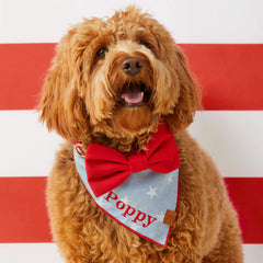 Ruby Dog Bow Tie