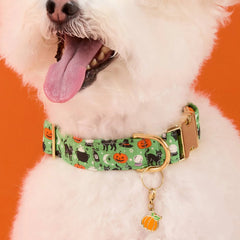 Pumpkin Collar Charm