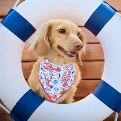 Printfresh x TFD Lobster Landing Mom + Dog Matching Gift Set (Short PJs)
