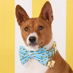Sweet as Can Bee Dog Bow Tie