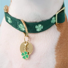 Lucky Rainbow Collar Charm Set