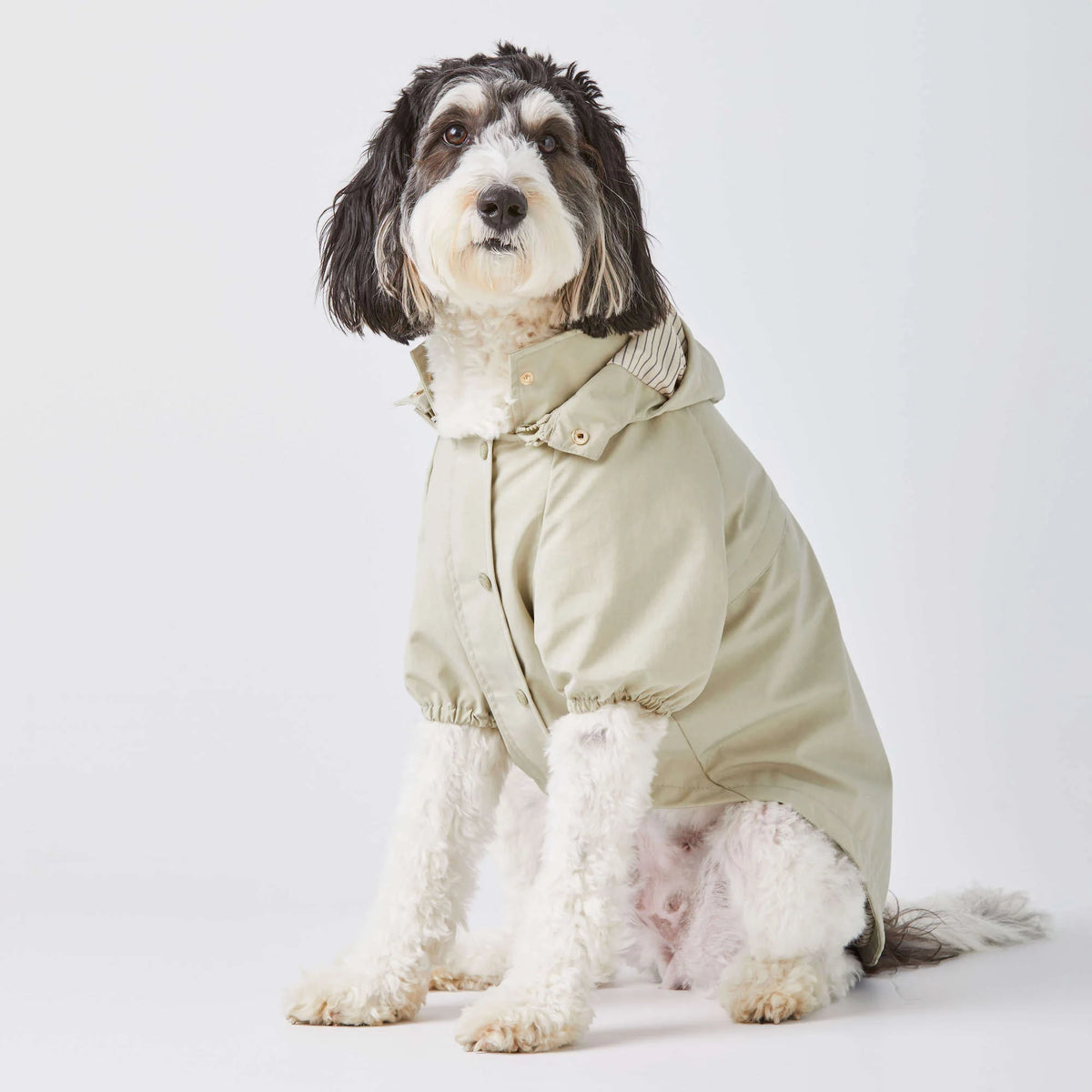Sage Dog Raincoat