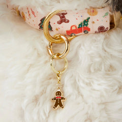 Pet Tag Keeper