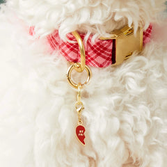 BFF Hearts Collar Charm Set