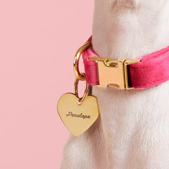 Heart Pet ID Tag