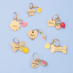 Watermelon Collar Charm