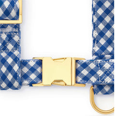 Lake Blue Gingham Harness Walk Set