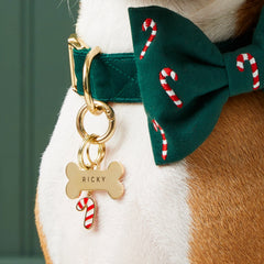 Pet Tag Keeper
