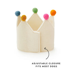 Ivory Dog Dog Birthday Crown + Numbers Set