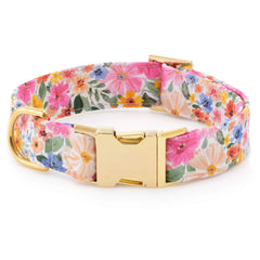 Margaux Collar Walk Set