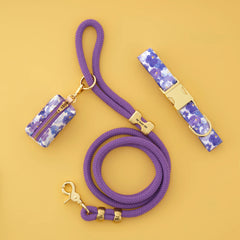 Pressed Pansies Collar Walk Set