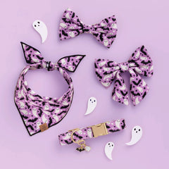 Spooky Season Lady Dog Bow