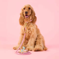 Margaux Collar Walk Set