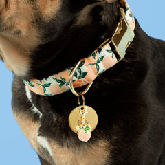 Peach Collar Charm