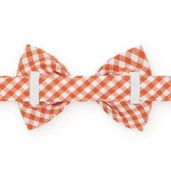 Cider Gingham Bow Tie Collar