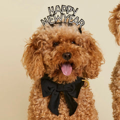 Black Velvet Lady Dog Bow