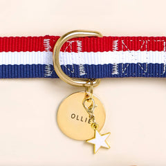 White Star Collar Charm