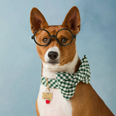 Evergreen Gingham Dog Bow Tie