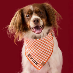 Cider Gingham Dog Bandana