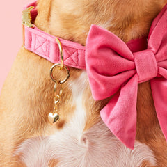Love is Golden Collar Charm Set