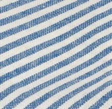 Lake Blue Stripe Dog Squeaky Toy