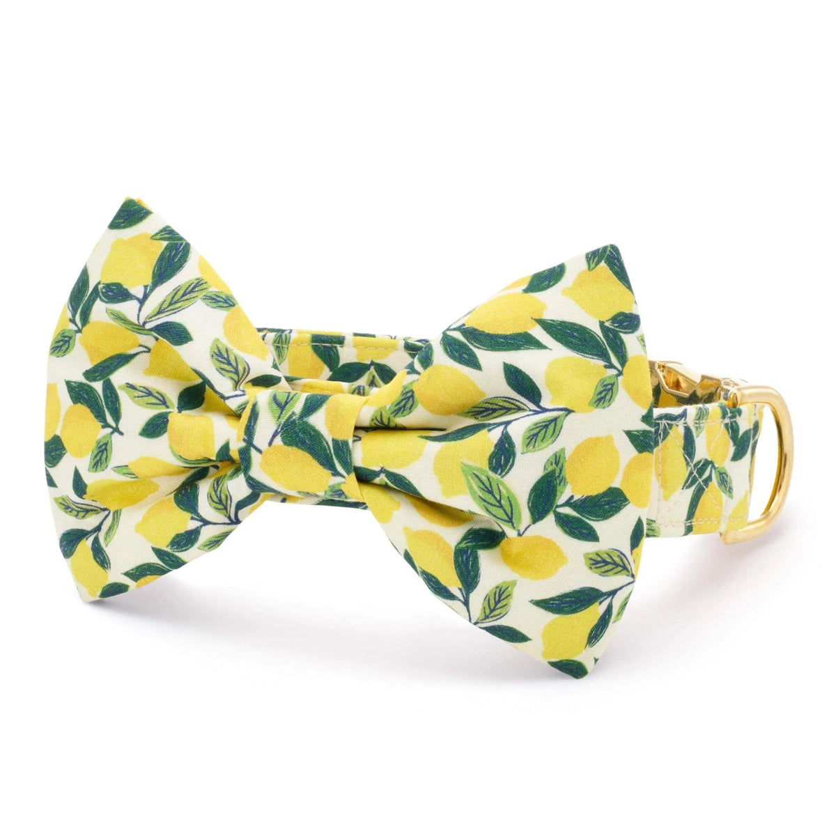 Lemon Zest Bow Tie Collar