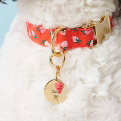 Circle Pet ID Tag: Bow Icon