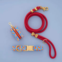 Hot Diggity Collar Walk Set