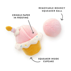 Birthday Cupcake 2-in-1 Bounce Dog Toy