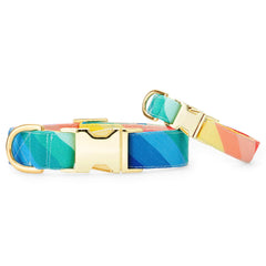 Over the Rainbow Dog Collar